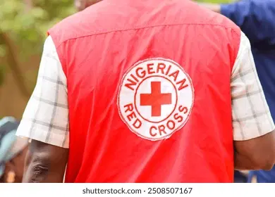 Red Cross Denies Allegations Of Supporting Armed Groups In Nigeria 1 Red cross
