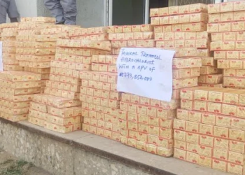 Nigeria Customs Intercepts 248,500 Tramadol Tablets Worth N273m In Yobe