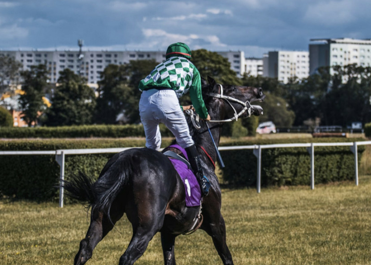 Could Nigeria Develop a Modern Horse Racing Industry? 1 Screenshot 2026 03 10 at 5.37.29 PM
