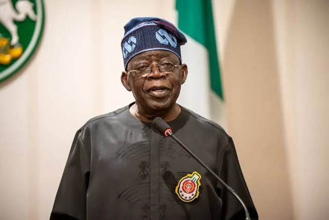 Federal Government To Examine Roles Of Police, DSS, Others In New Review 1 Tinubu Kaftan black