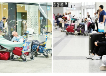 ‘In This Time of Crisis, UAE Shows What Sets World-Class Nations Apart’