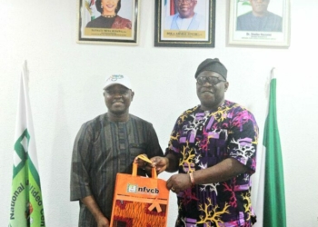 ‎Film, Tourism Key To Nigeria’s Economic Diversification – NFVCB, NTDA