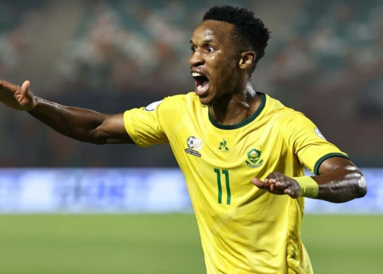 South Africa Recall Zwane, Hlongwane For Panama Friendlies 1 WhatsApp Image 2026 03 19 at 8.02.49 PM