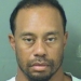 Tiger Woods Arrested For DUI After Car Crash 5 Tiger Woods Arrested For DUI After Car Crash