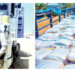 Ramadan Support: Buni Approves Fresh Food Distribution To Vulnerable Households In Yobe 5 Ramadan Support: Buni Approves Fresh Food Distribution To Vulnerable Households In Yobe