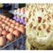 Egg Scarcity Imminent As Chick Shortage, Heat Push Prices Up 5 Egg Scarcity Imminent As Chick Shortage, Heat Push Prices Up
