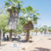 Green Mandate: Kano Targets Restoration Of 10 Parks In Two Months 5 Green Mandate: Kano Targets Restoration Of 10 Parks In Two Months
