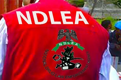 NDLEA Foils Drug Smuggling, Seizes Opioids, Meth At Lagos Airport 1 images 13