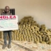 NDLEA Secures 15-year Prison Sentence For Kano Trafficker