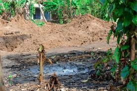 Ogoni Community Decries Neglect, Demands Accountability Over Oil Spillages 1 images 2026 03 23T124706.534