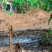 Ogoni Community Decries Neglect, Demands Accountability Over Oil Spillages 4 Ogoni Community Decries Neglect, Demands Accountability Over Oil Spillages