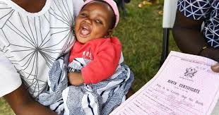 NPC Registers 36,000 Births In Kano In 9 Months