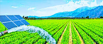 Stakeholders Promote Solar-powered Irrigation To Boost Nigeria’s Food Security