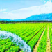 Stakeholders Promote Solar-powered Irrigation To Boost Nigeria’s Food Security