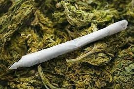 Indian Hemp Dealers Bag 3 Months Community Service, N5m Fine 1 images 2026 03 26T112536.689