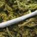 Indian Hemp Dealers Bag 3 Months Community Service, N5m Fine 5 Indian Hemp Dealers Bag 3 Months Community Service, N5m Fine
