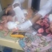 Kano Woman Who Delivered Quintuplets Dies Hours After Delivery 5 Kano Woman Who Delivered Quintuplets Dies Hours After Delivery