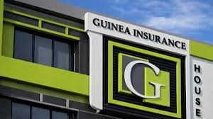 SEC Approves Guinea Insurance N5.8bn Rights Issue 1 images 2026 03 26T171412.725