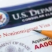 Visa Rules Not Permanent, Subject To Review – US Mission 5 Visa Rules Not Permanent, Subject To Review – US Mission