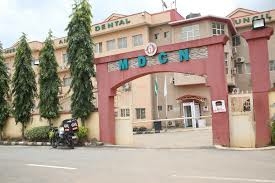 Council Suspends Medical Director, 2 Doctors Over Death Of Chimamanda's Son 1 images 37