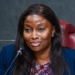 FAAN Advocates 3 Indigenous Airlines As National Flag Carriers 5 FAAN Advocates 3 Indigenous Airlines As National Flag Carriers