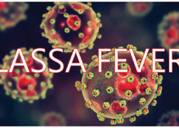 Beyond The Rodents: Lassa’s Human Cost