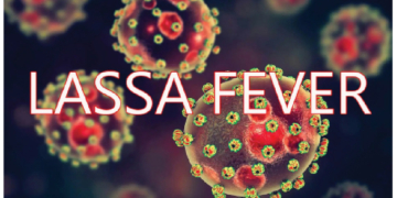 Beyond The Rodents: Lassa’s Human Cost