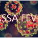 Lagos Govt Alerts Residents On Lassa Fever Outbreak 5 Beyond The Rodents: Lassa’s Human Cost
