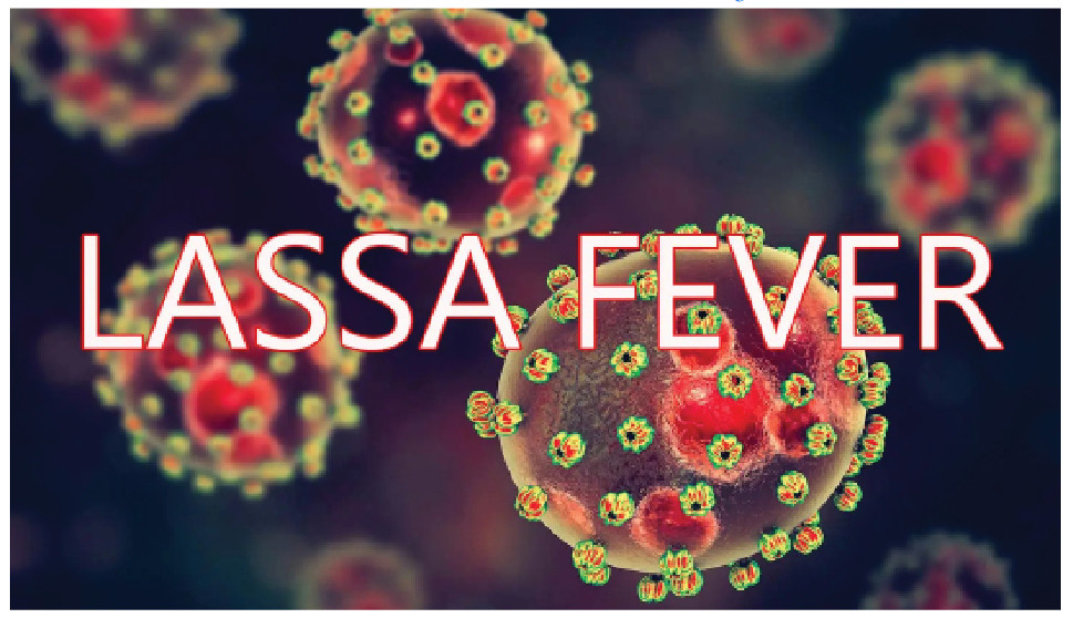 Lassa Fever: Nigeria Records 663 Cases, 167 Deaths In 3 Months