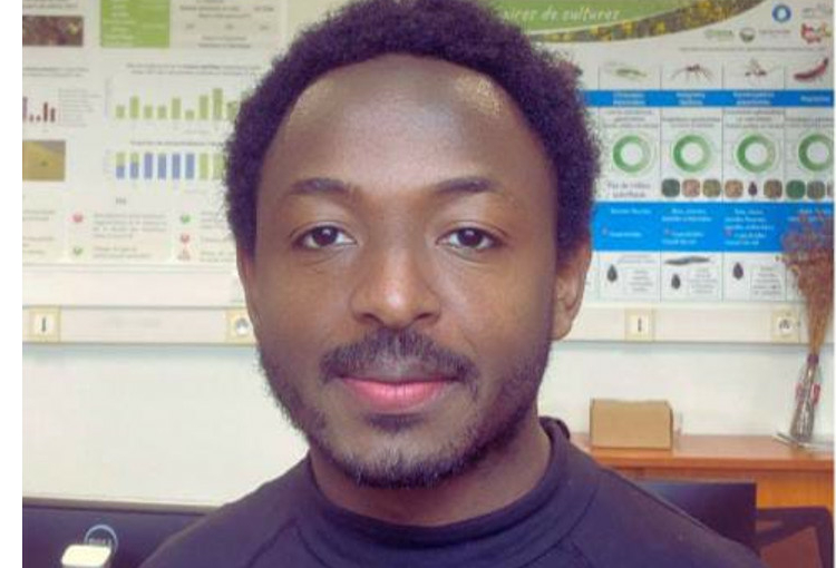 Nigerian Researcher Develops Pathway To Boost Cereal Crops Production 1 Dr Mahmud Mubarak