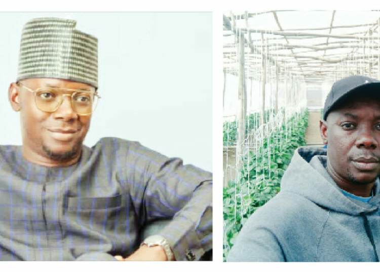 Greenhouse Farming Key To Boosting Nigeria’s Food Export Potential – Ojeah 1 ojeah 1