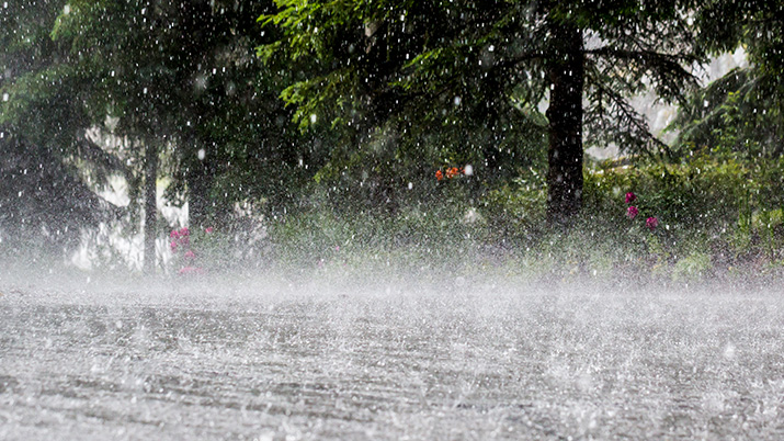 rainstorm