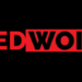RedWolf Named Best Agency Workplace In Nigeria