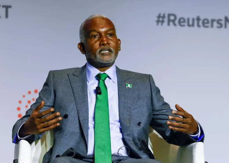 FG Offers To Help Diversify Global Hydrocarbon Supply 1 reuters next