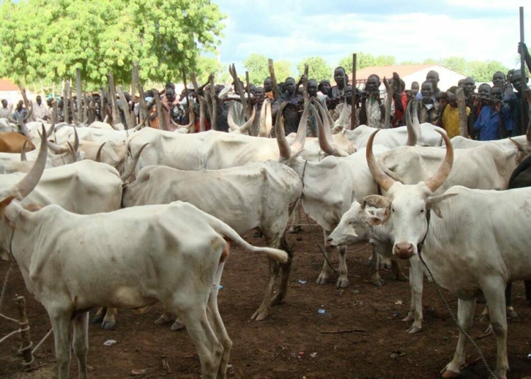 Police Warn Against Cattle Rustling In Benue
