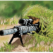 The ‘Black Scorpion’ And The ‘Bushmen’