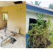 How Vandalised Water Project Sparks Water Crisis 19 Years After In  C’ River