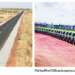 How Buni’s Investments In Roads, Agriculture Are Expanding Opportunities Across Yobe
