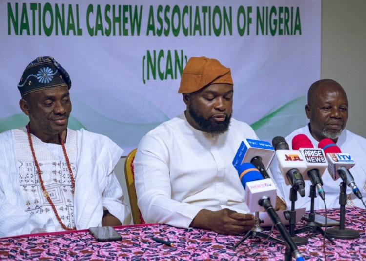Cashew Industry Needs Sector-savvy Leadership – Adesokan 1 Ademola Adesokan