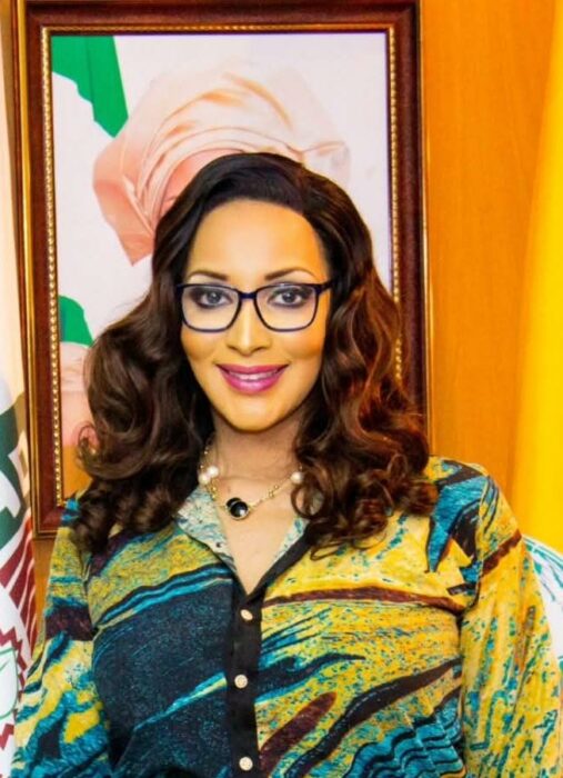 Federal Government Urges New Envoys To Project Positive Image Of Nigeria Abroad