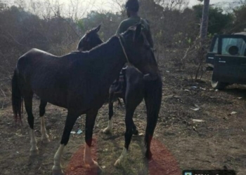PICTORIAL: Army Crushes Bandits, Overruns Enclaves, Captures 19 Family Members In Bauchi Forest