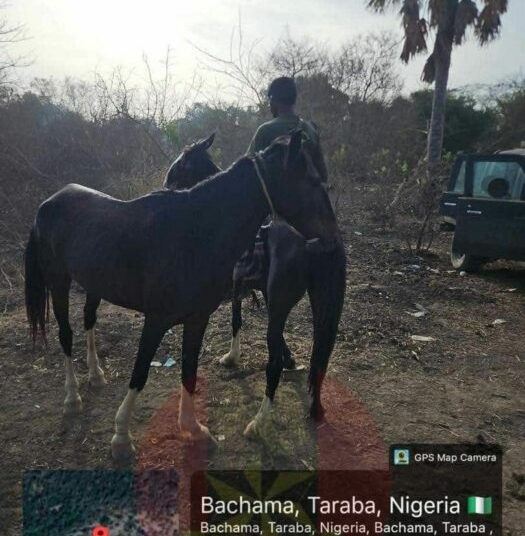 PICTORIAL: Army Crushes Bandits, Overruns Enclaves, Captures 19 Family Members In Bauchi Forest 1 Bandits