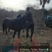 PICTORIAL: Army Crushes Bandits, Overruns Enclaves, Captures 19 Family Members In Bauchi Forest 5 PICTORIAL: Army Crushes Bandits, Overruns Enclaves, Captures 19 Family Members In Bauchi Forest