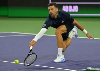 Del Potro Backs Djokovic To Make History With 25th Grand Slam