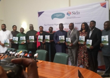 Nigerian Banks Record Low ESG Score, Coalition Raises Alarm