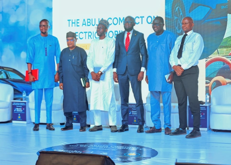 Rising Fuel Prices Drive EV Adoption in Nigeria — Experts 1 EXPERTS