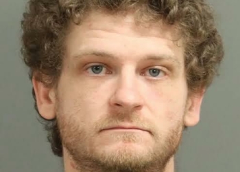 The Hunger Games Star Ethan Jamieson Arrested In Alleged Triple Assault Case