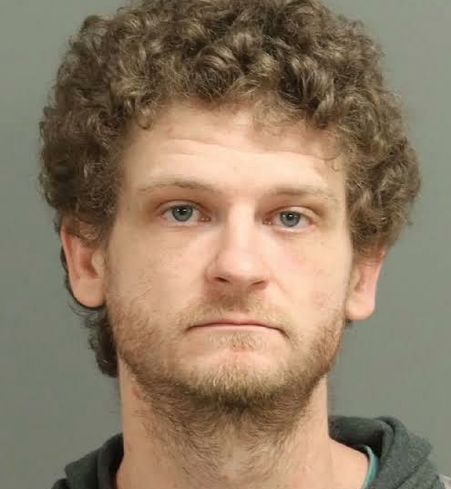 The Hunger Games Star Ethan Jamieson Arrested In Alleged Triple Assault Case 1 Ethan