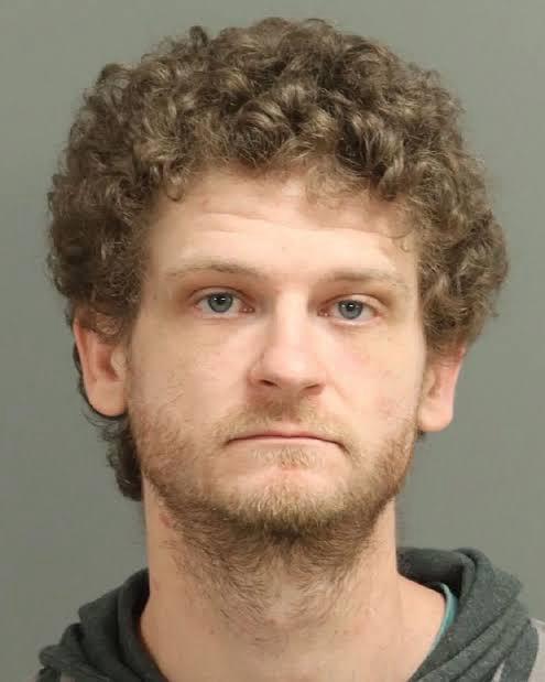 The Hunger Games Star Ethan Jamieson Arrested In Alleged Triple Assault Case