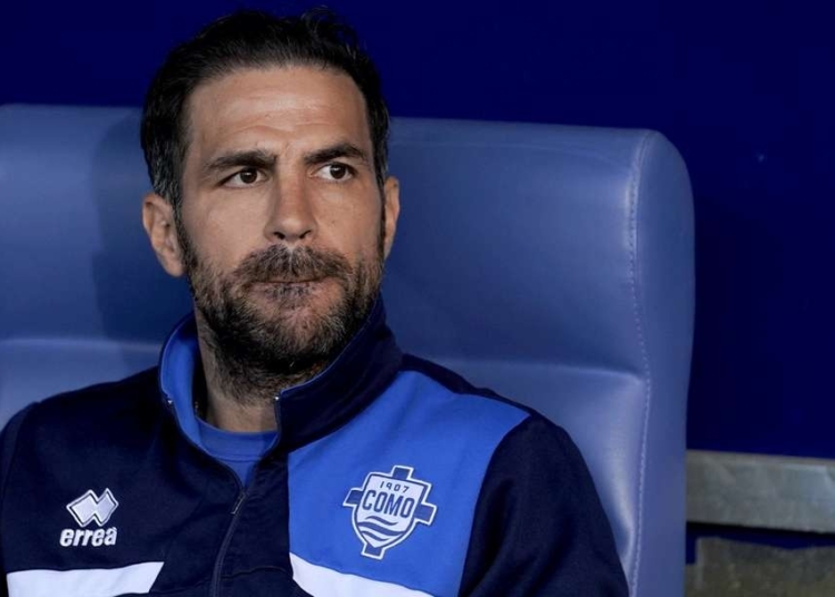 Fabregas Urged To Steer Clear Of Chelsea 'Nightmare' 1 FABREGAS 1